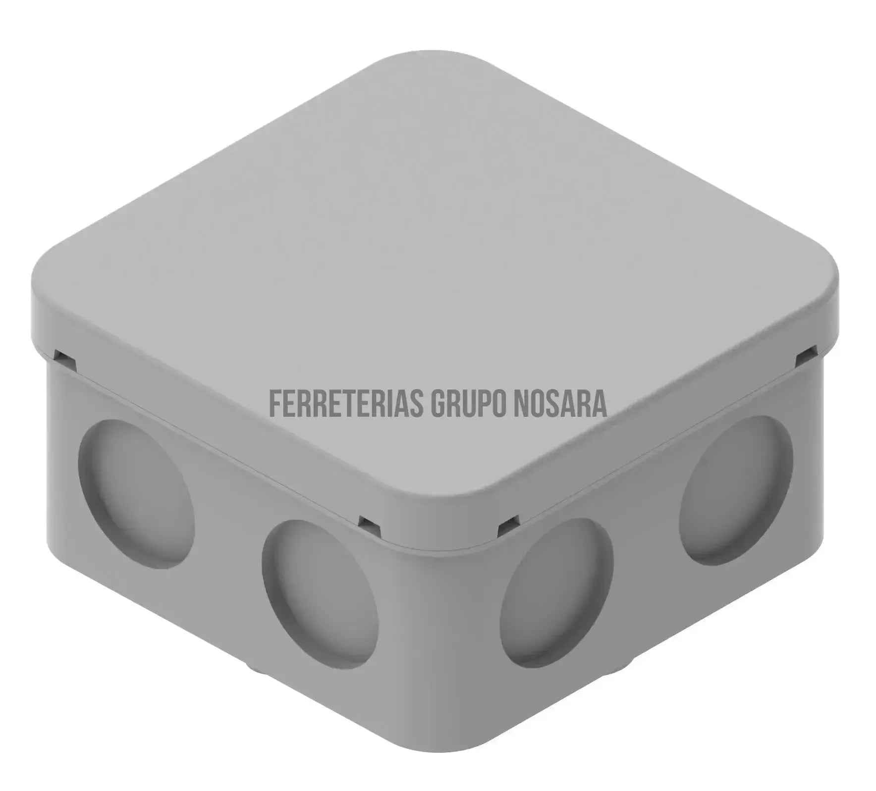 EAGLE CAJA REGISTRO 300 X 300-