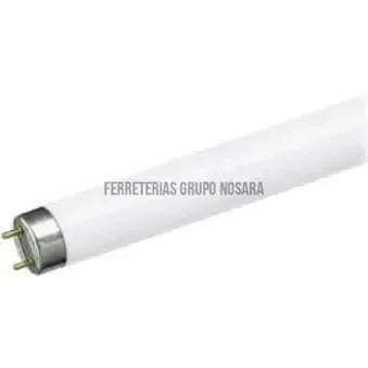 TUBO FLUORESC F32 T8 32W 6500K-