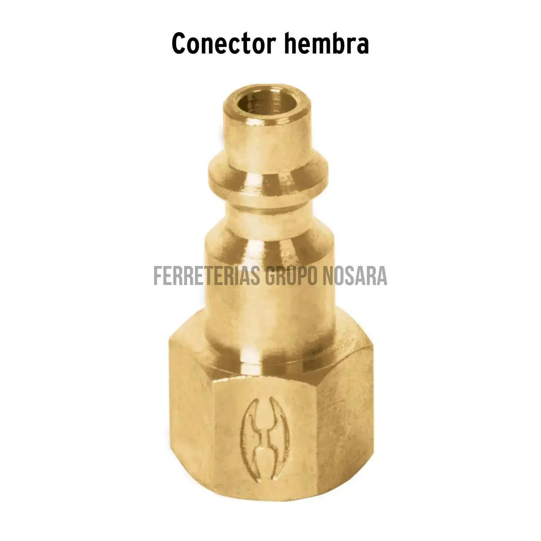 Conector rápido de latón, tipo F, cuerda 1/4" NPT, hembra / 19082-