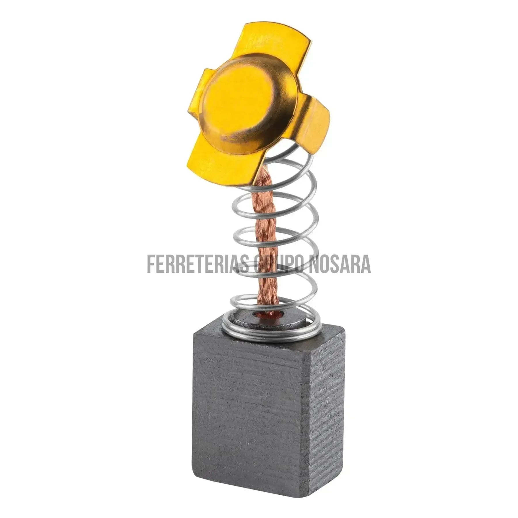 Bolsa con 2 carbones de repuesto para ESMA-9N3 / 12487-