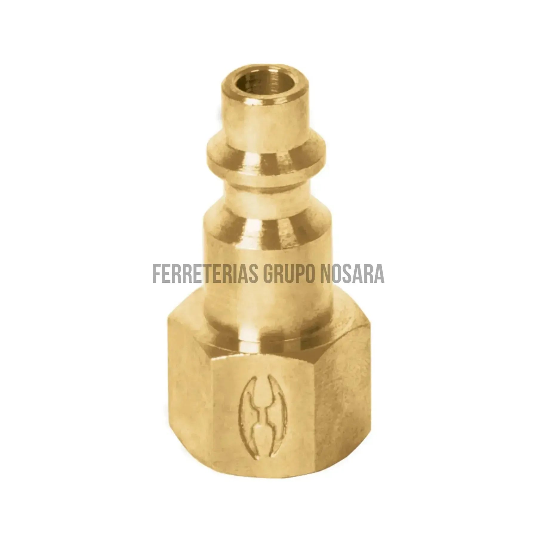 Conector rápido de latón, tipo F, cuerda 1/4" NPT, hembra / 19082-