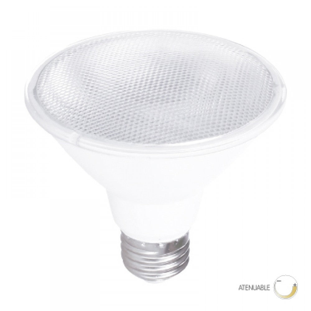 TECNO LITE BOMB LED DIM 10DPAR30LED65V40