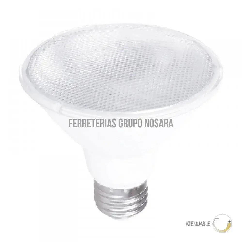 TECNO LITE BOMB LED DIM 10DPAR30LED65V40-031157-7501668557118